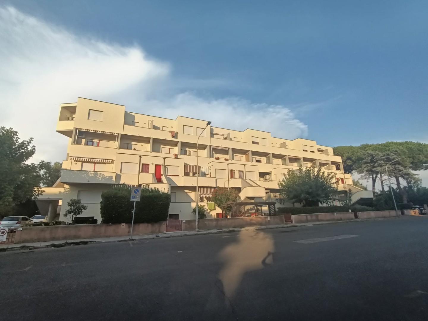 Monolocale arredato in affitto, Rosignano Marittimo vada