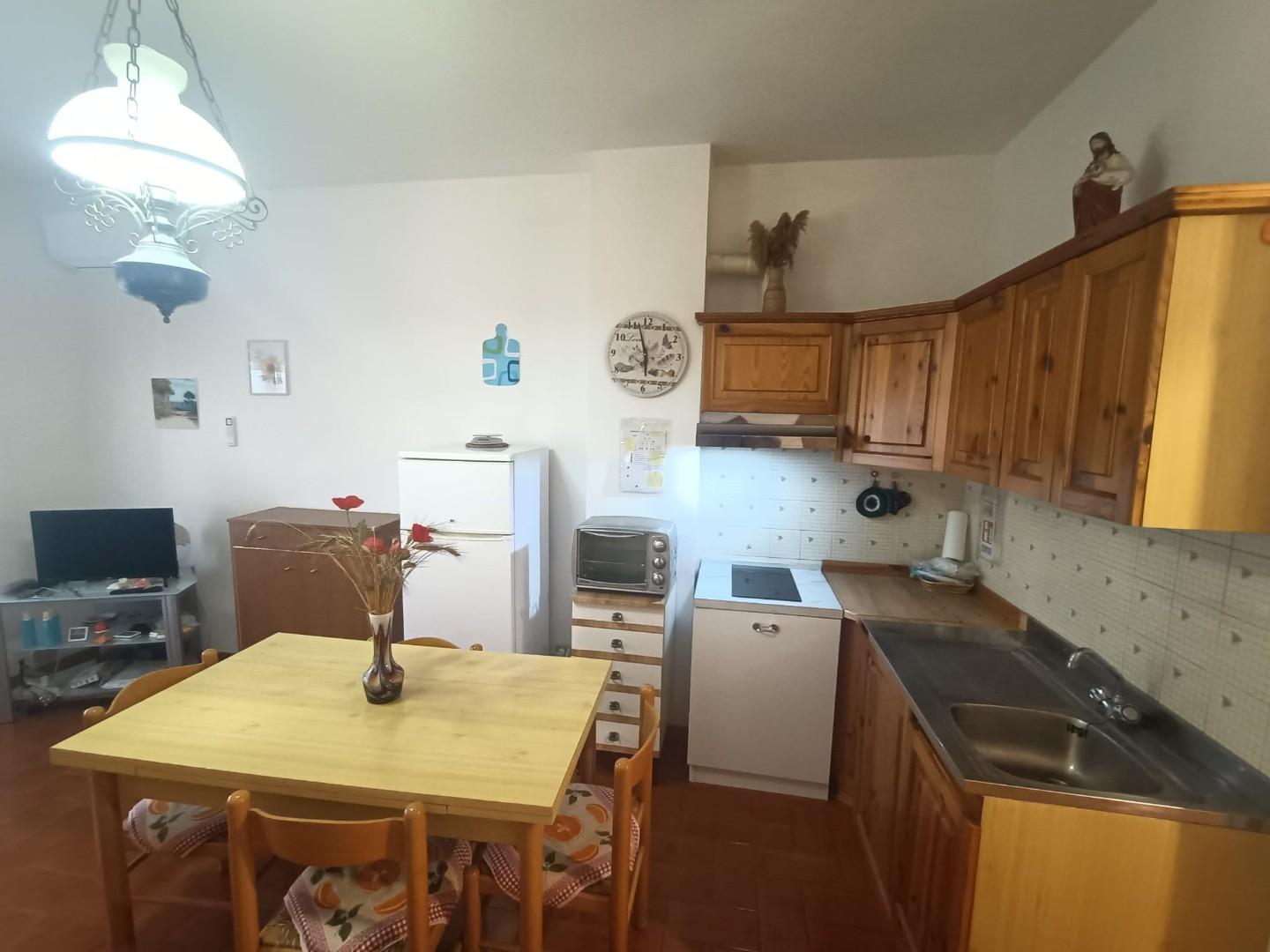 Monolocale arredato in affitto, Rosignano Marittimo vada