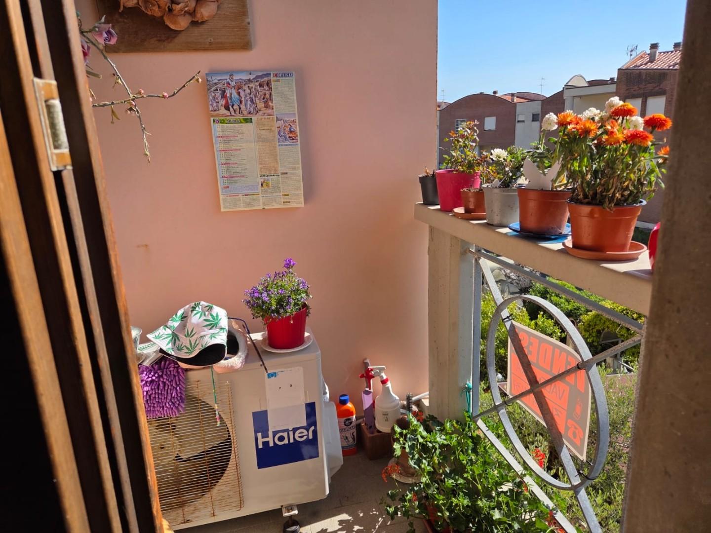 Quadrilocale in vendita, Rosignano Marittimo vada