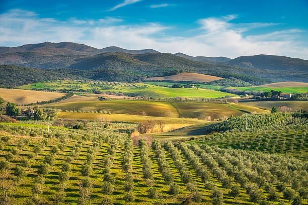 Villa con giardino a Bibbona