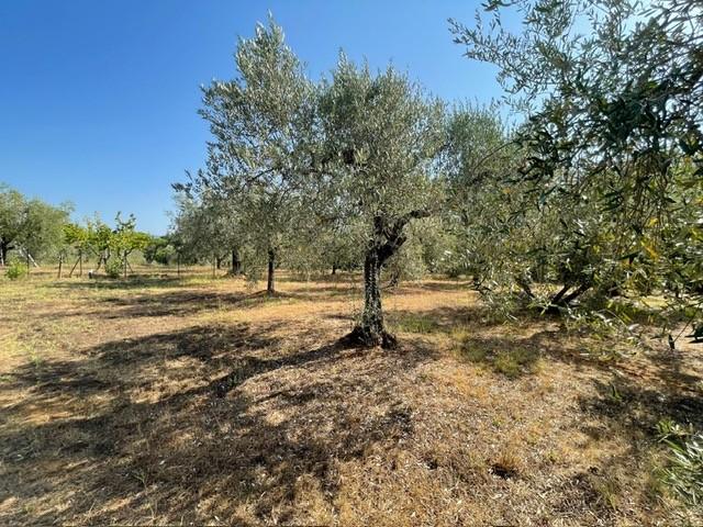 Rustico in vendita a Casale Marittimo
