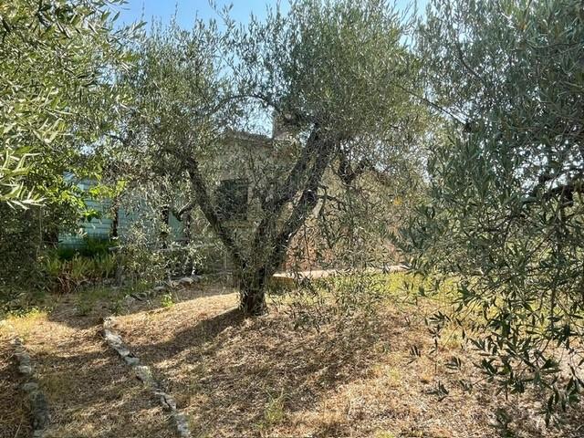 Rustico in vendita a Casale Marittimo