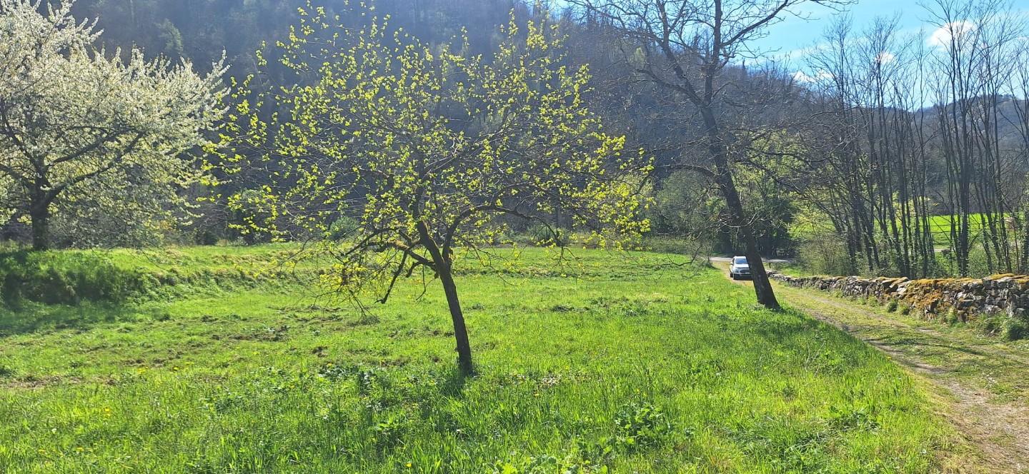 Casa indipendente con giardino, Bagni di Lucca villa