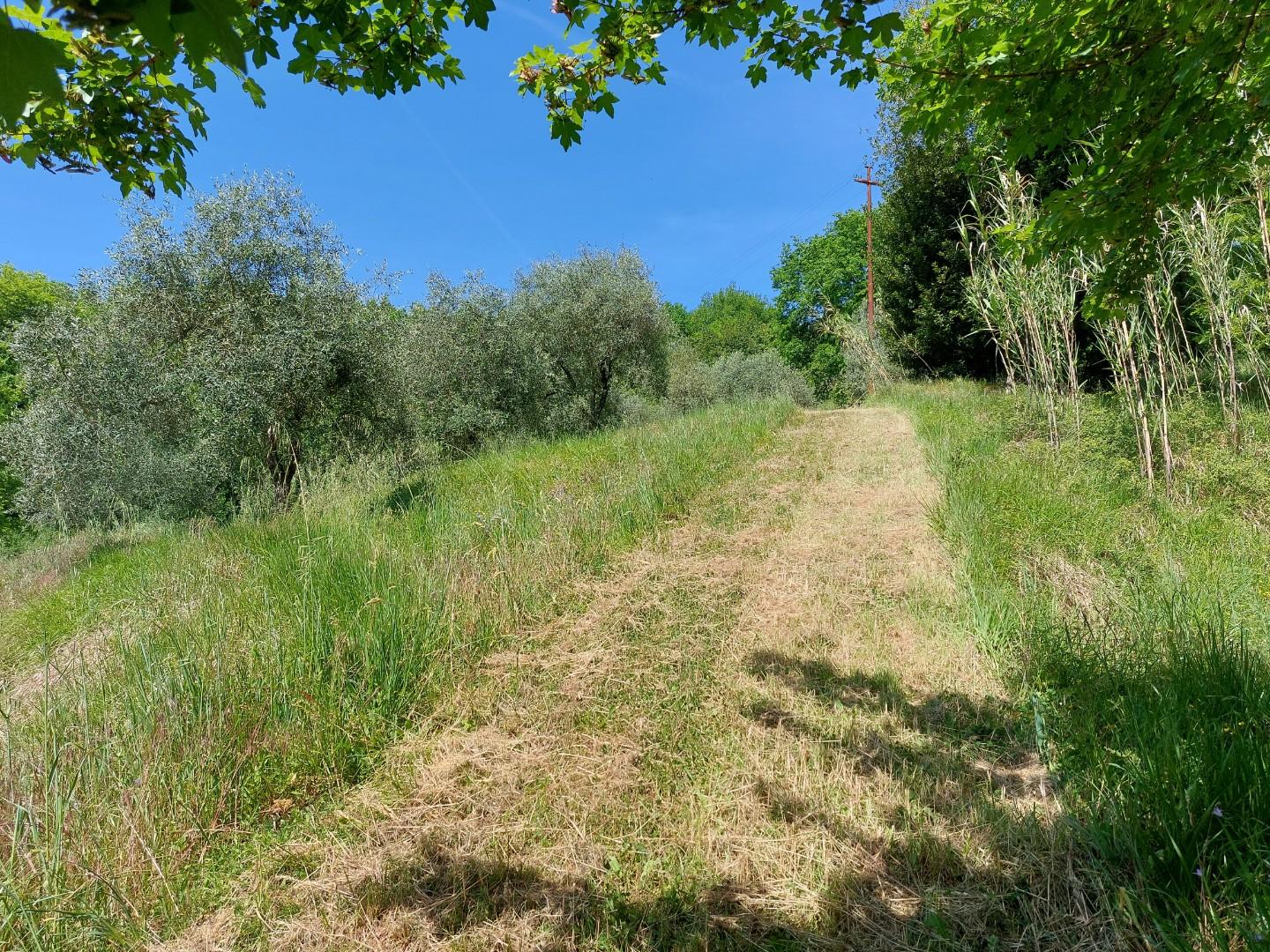Terreno Agricolo in vendita, Borgo a Mozzano dezza