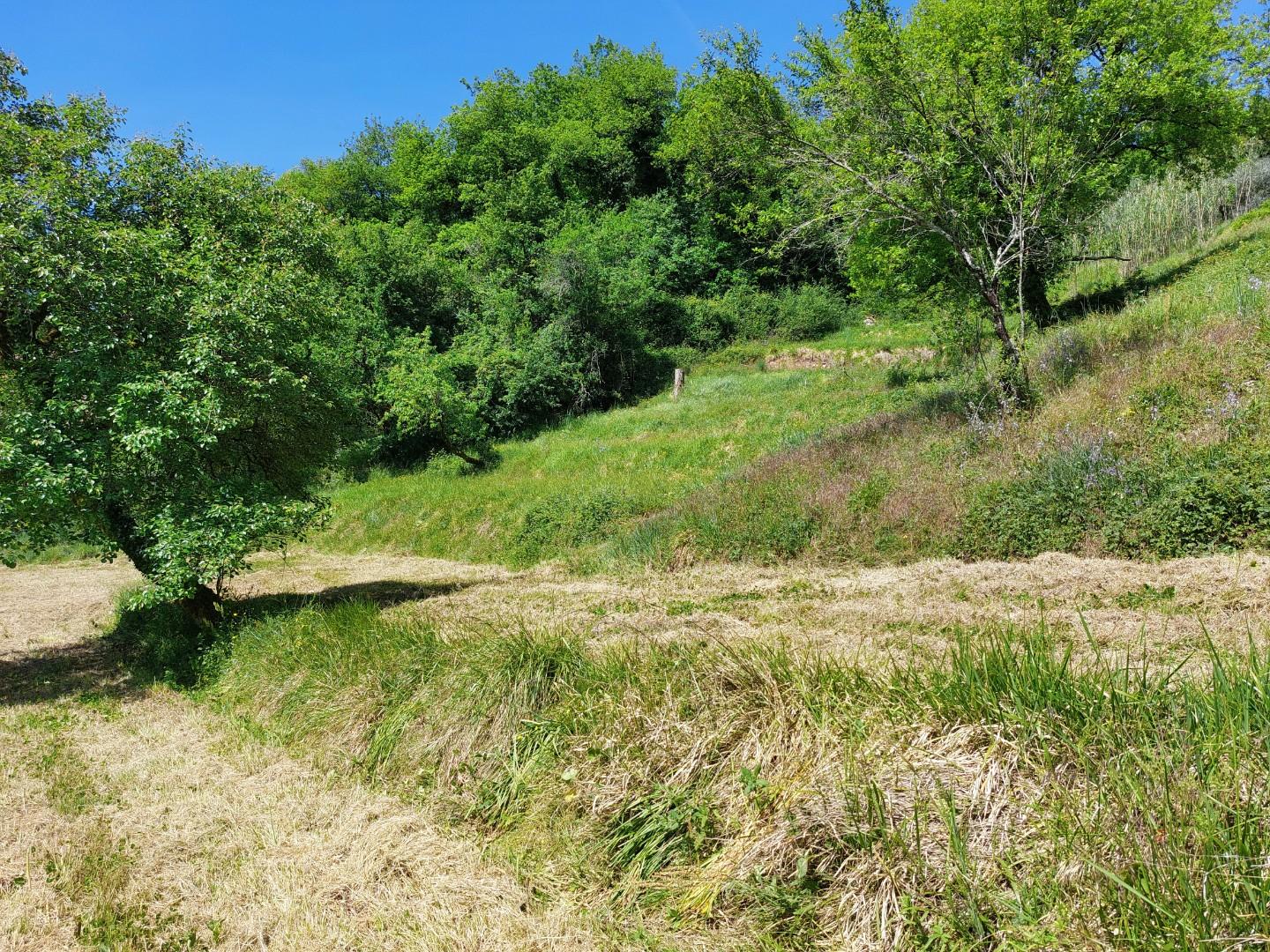 Terreno Agricolo in vendita, Borgo a Mozzano dezza