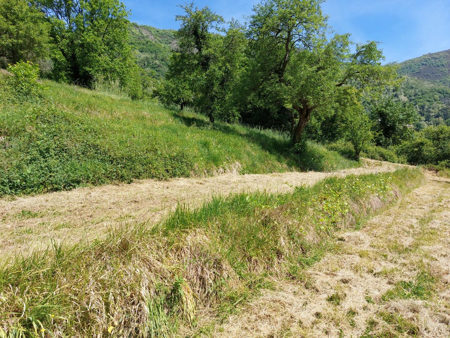 Terreno Agricolo in vendita, Borgo a Mozzano dezza