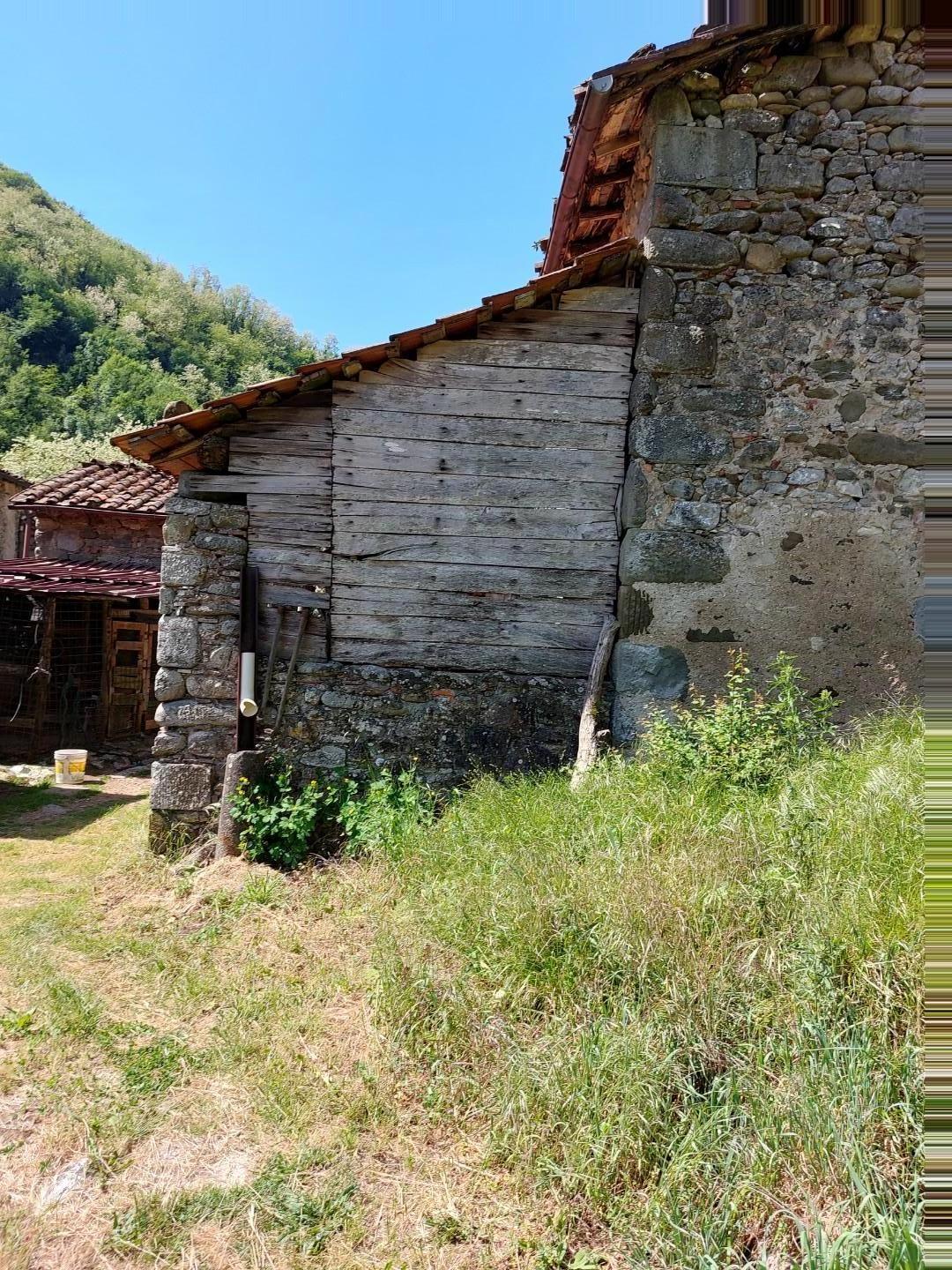 Terreno Agricolo in vendita, Borgo a Mozzano dezza