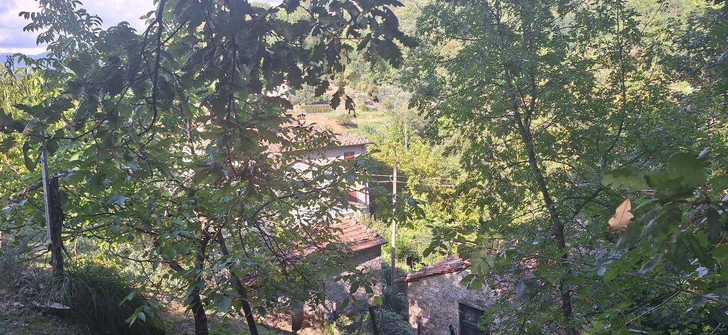 Casa indipendente in vendita, Coreglia Antelminelli gromignana