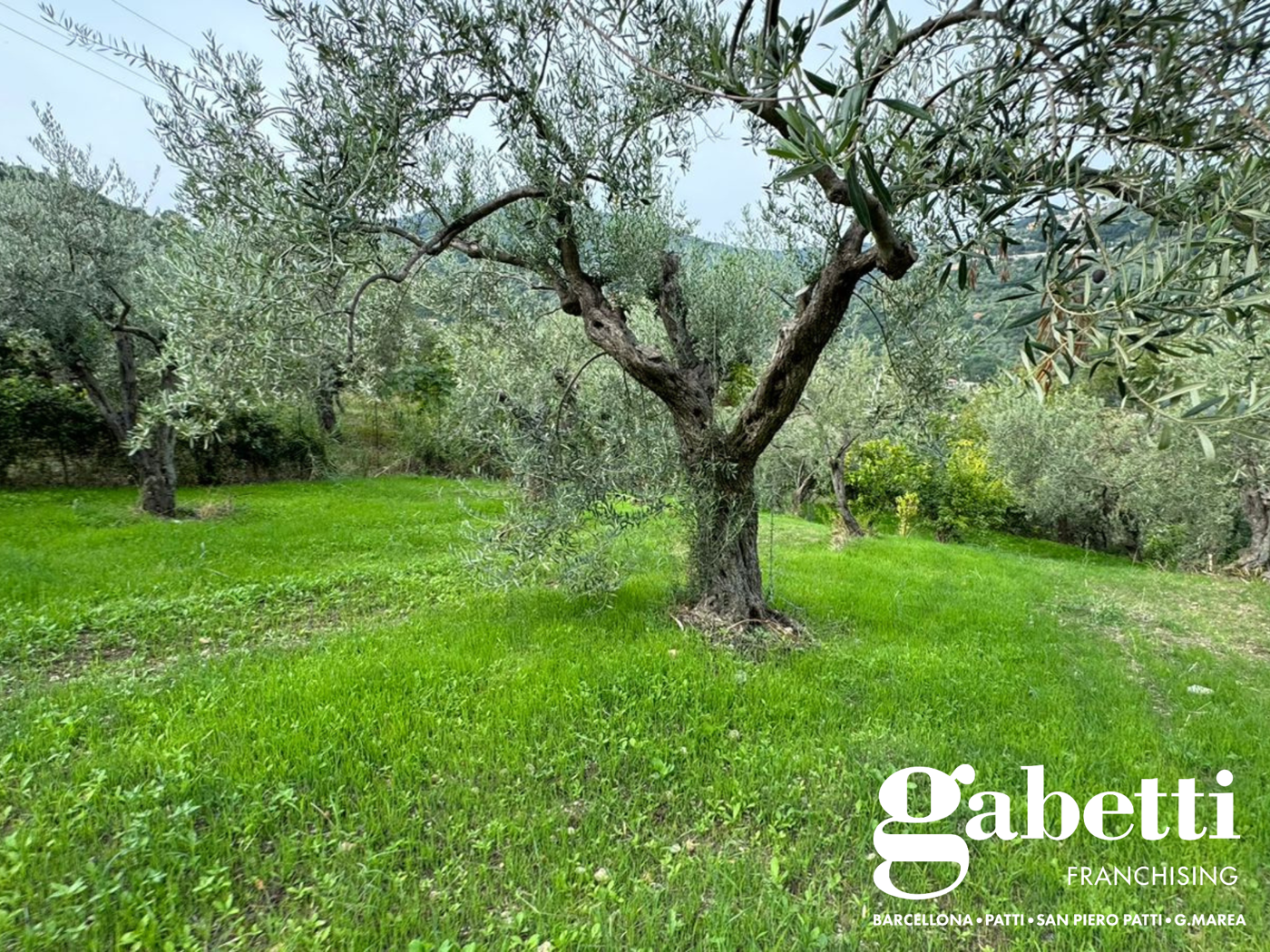 Terreno Agricolo in vendita a Patti