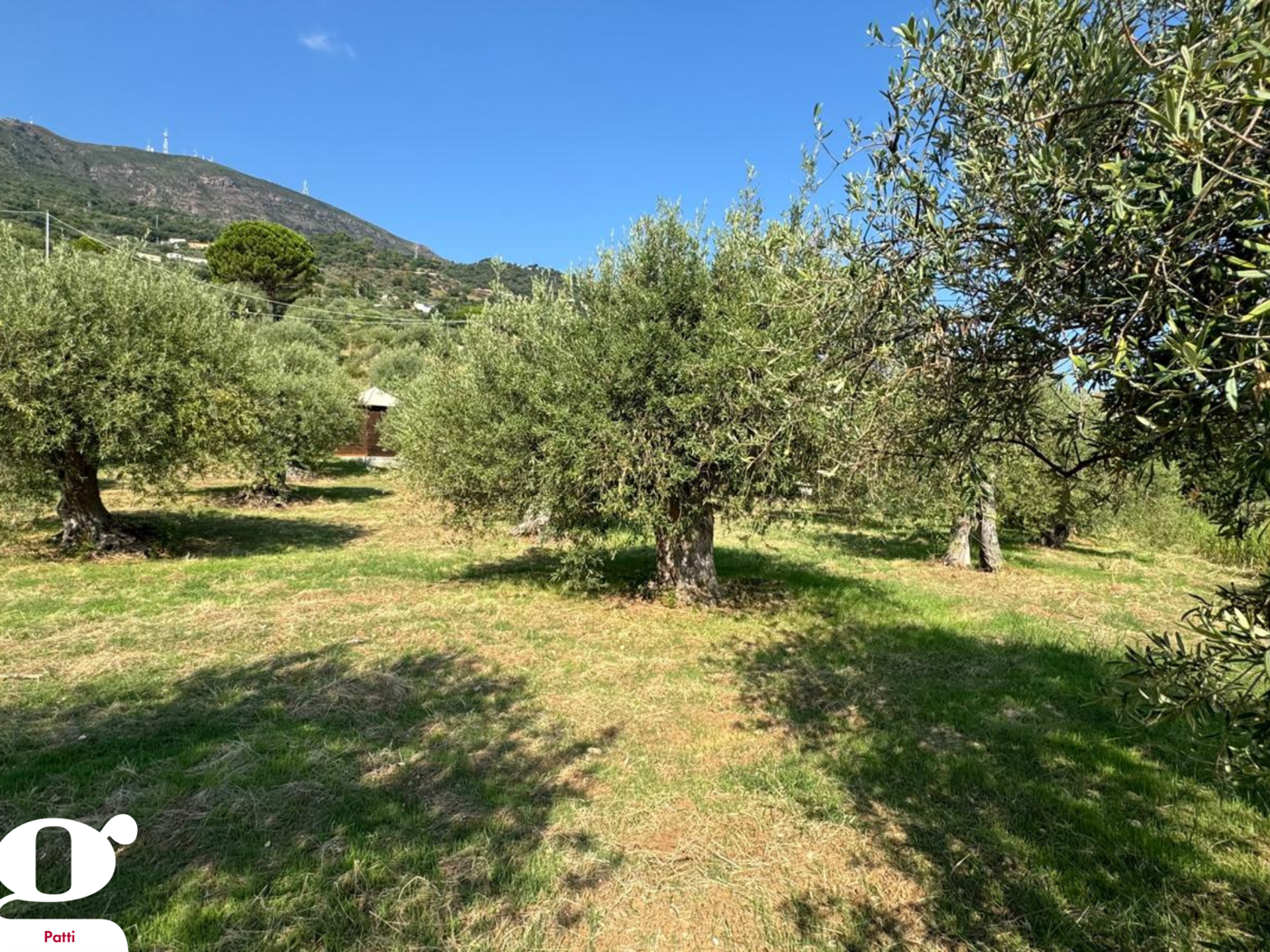 Terreno Agricolo in vendita a Gioiosa Marea