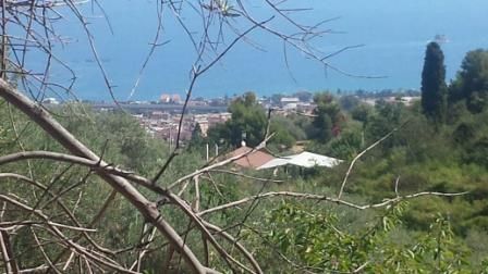 Terreno Agricolo in vendita a Patti