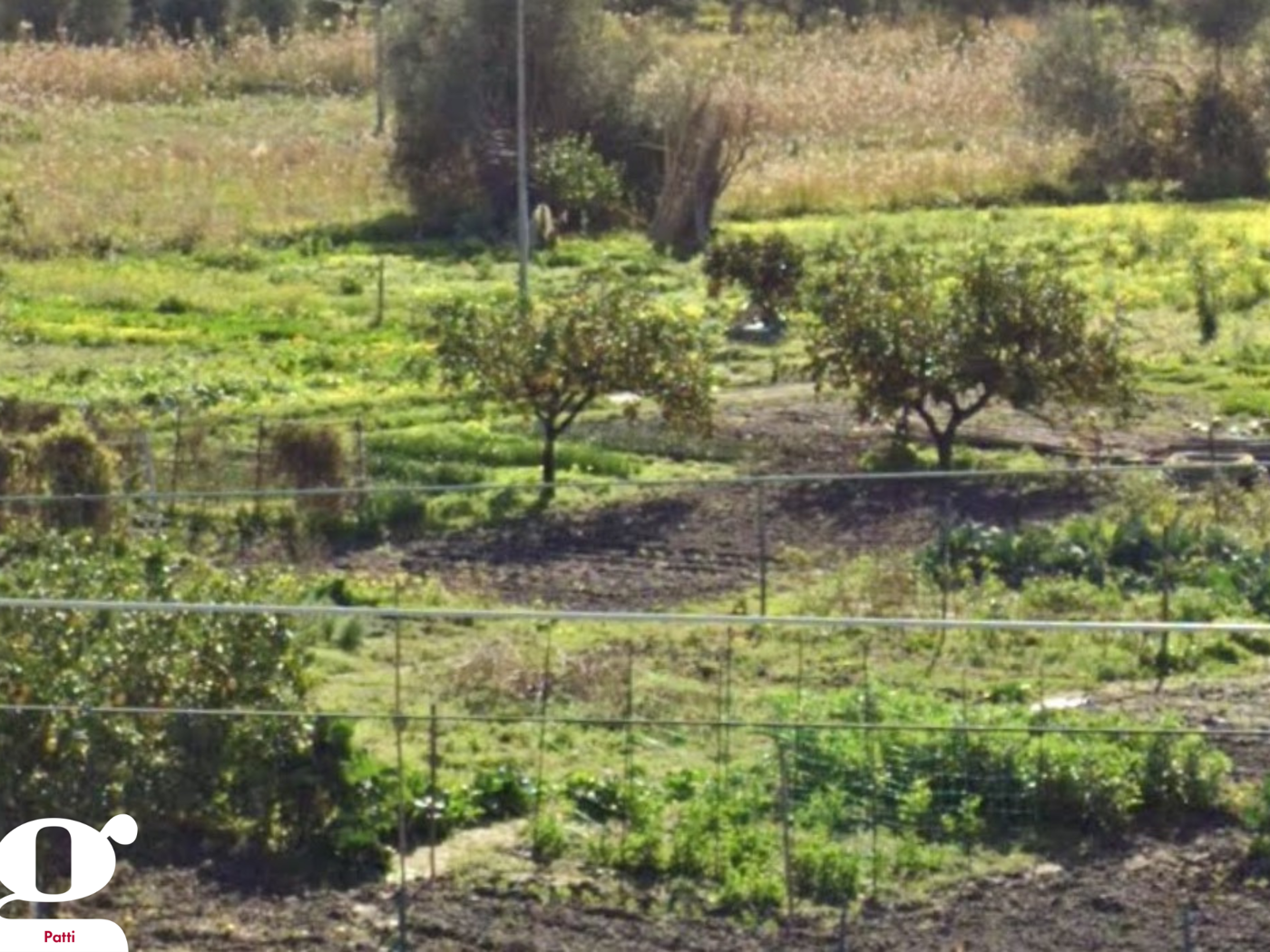 Terreno Agricolo in vendita a Patti