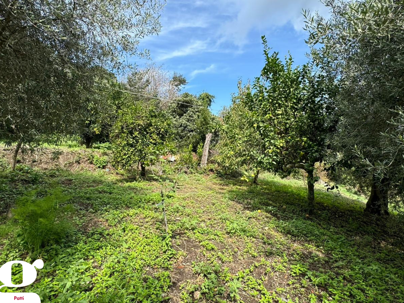 Terreno Agricolo in vendita a Montagnareale