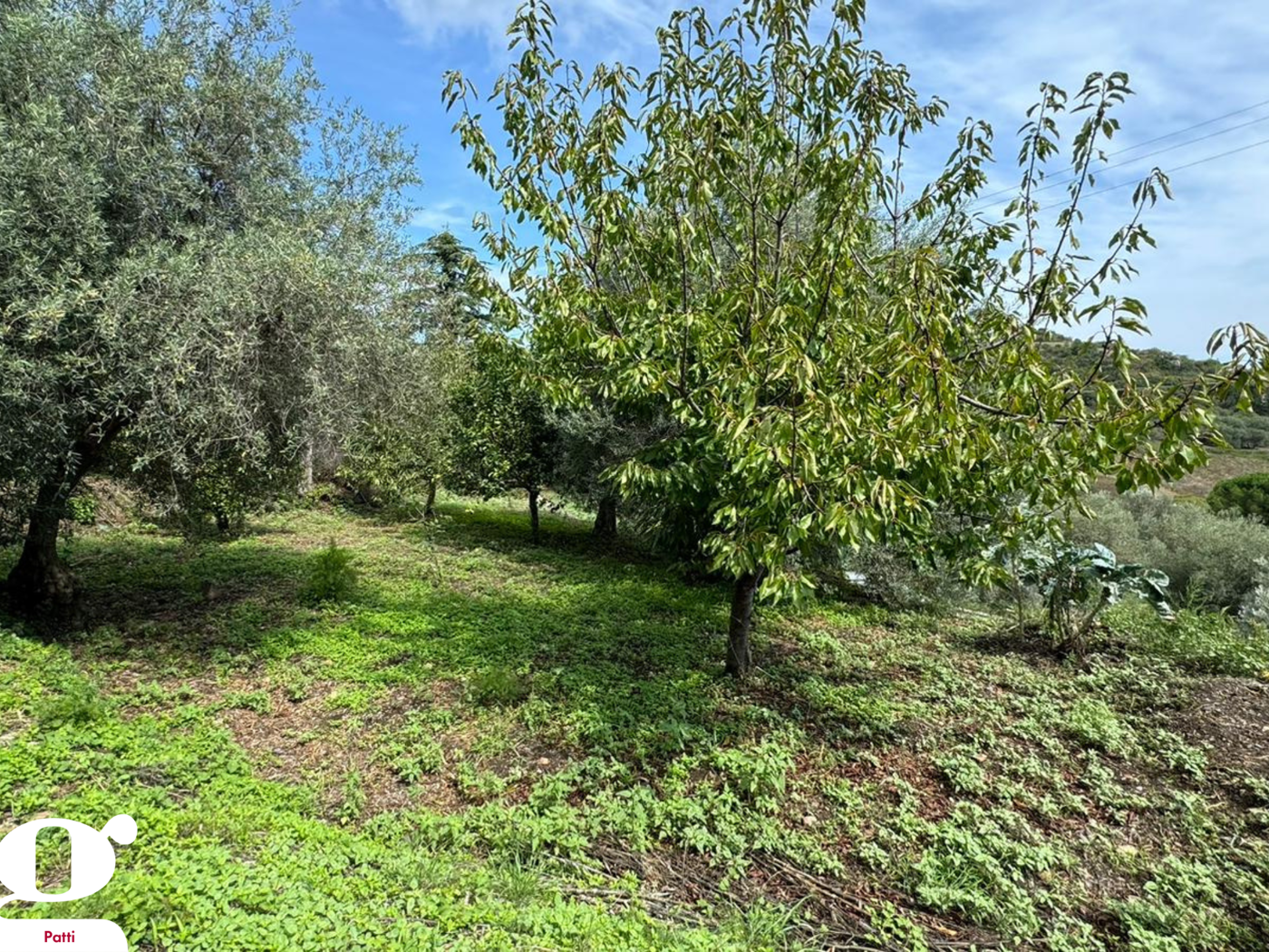 Terreno Agricolo in vendita a Montagnareale