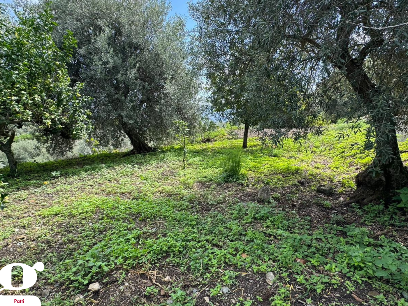Terreno Agricolo in vendita a Montagnareale