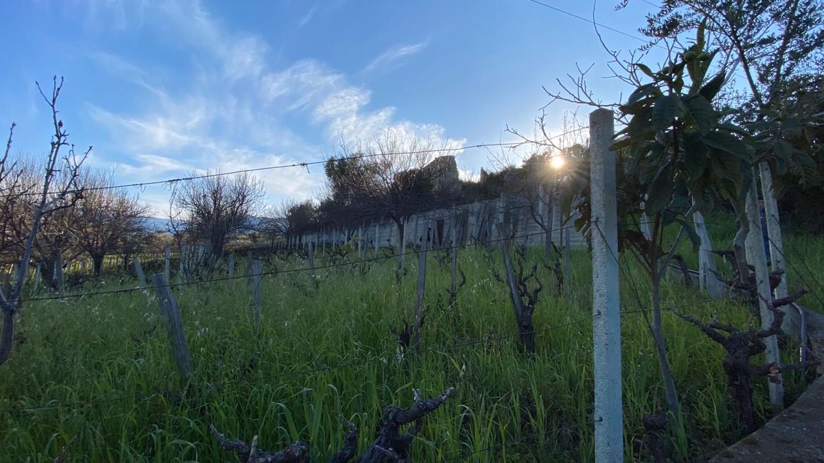 Terreno Agricolo in vendita a Patti
