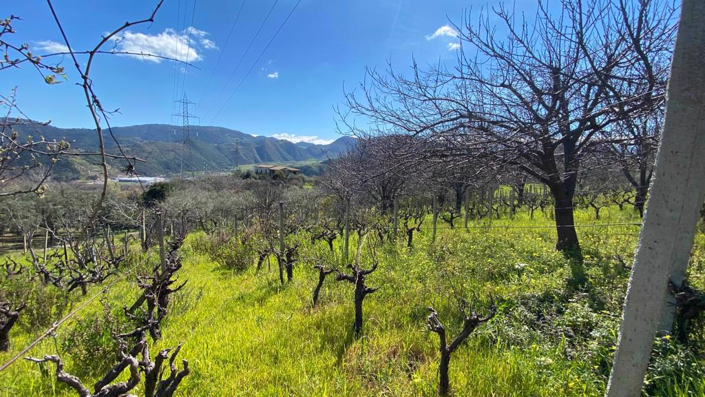 Terreno Agricolo in vendita a Patti