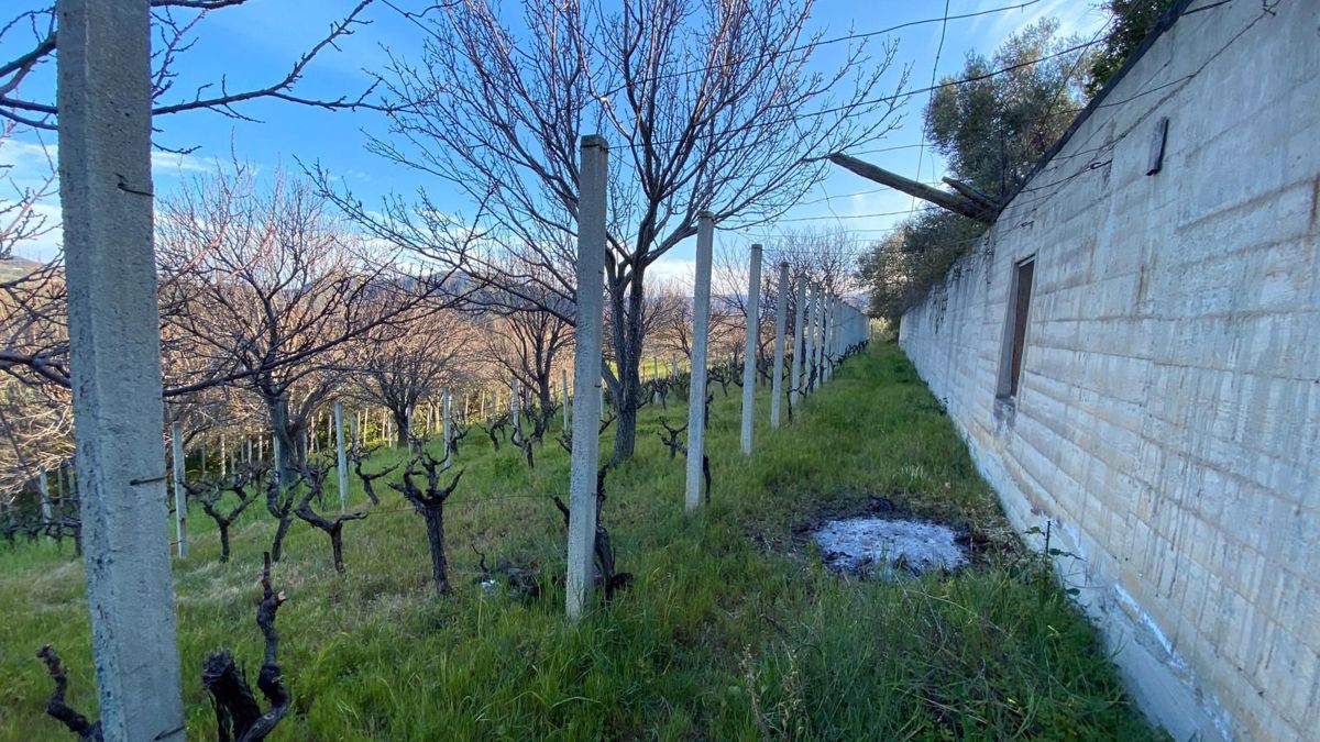 Terreno Agricolo in vendita a Patti