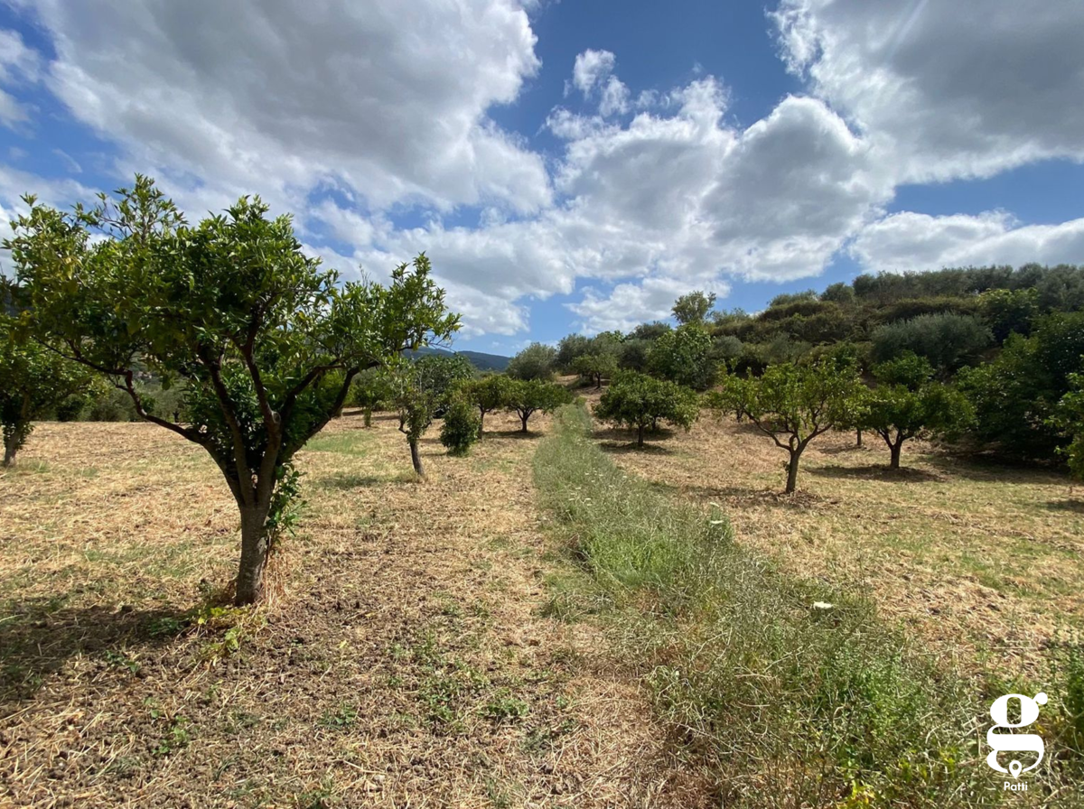 Terreno Agricolo in vendita a Librizzi