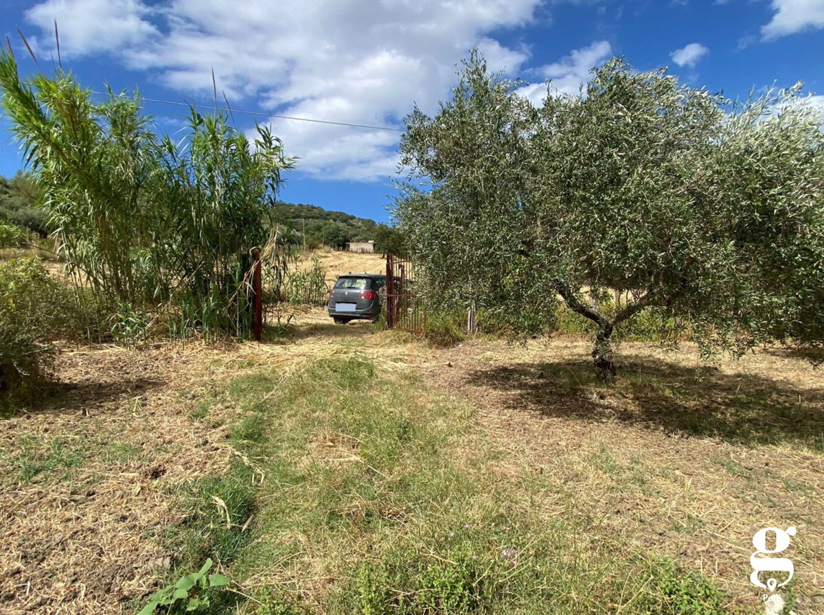 Terreno Agricolo in vendita a Librizzi