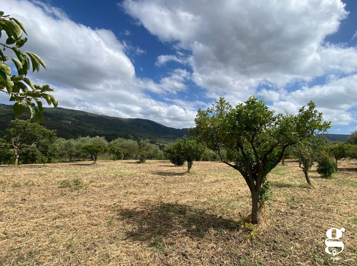 Terreno Agricolo in vendita a Librizzi