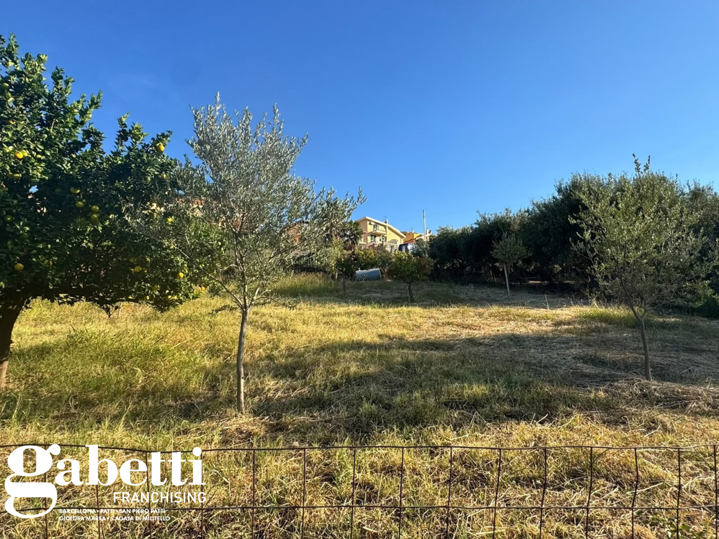 Terreno Agricolo in vendita a Patti