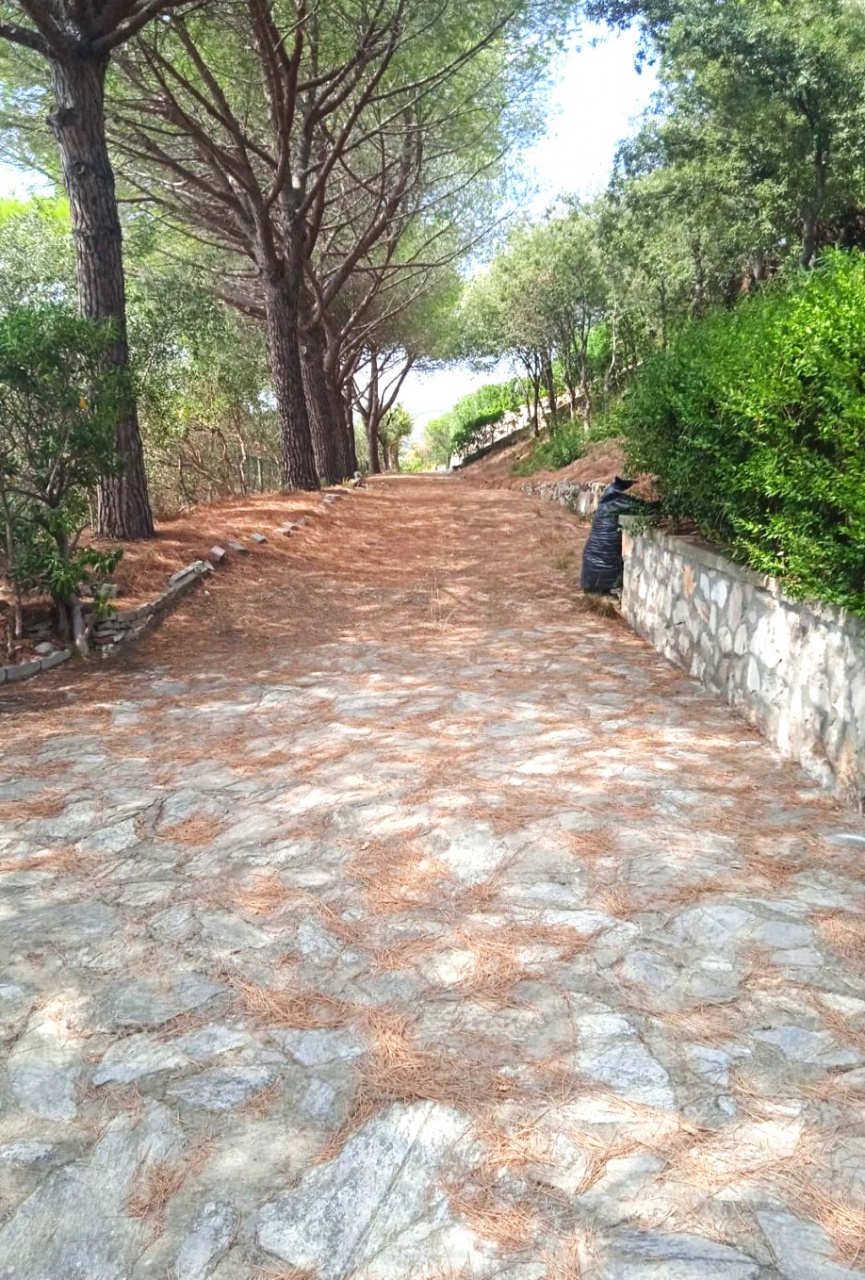 Casa indipendente arredata in affitto a Piombino