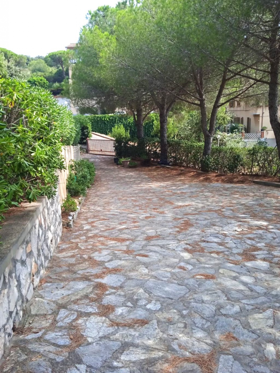 Casa indipendente arredata in affitto a Piombino