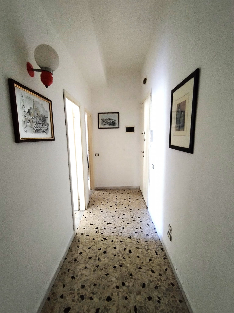 immagine annuncio 7 di 8