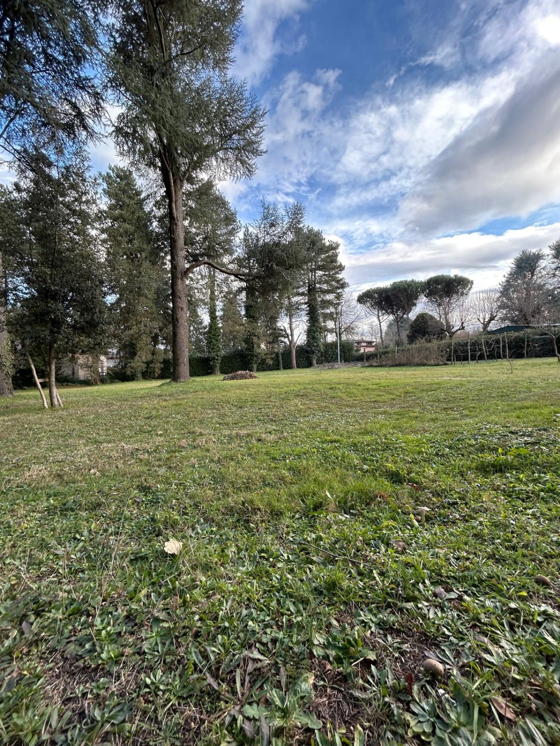 Terreno in vendita a Rocca Priora