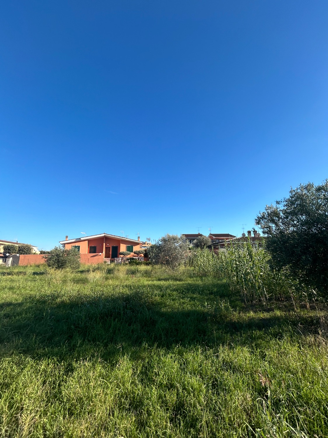 immagine annuncio 5 di 9