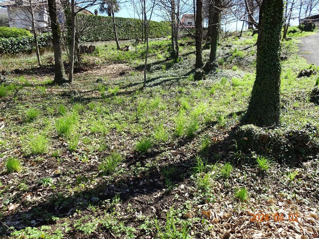 Terreno in vendita a Ello