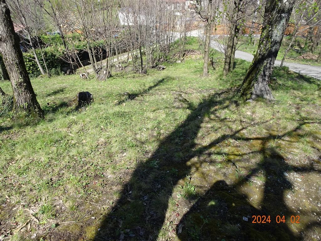 Terreno in vendita a Ello