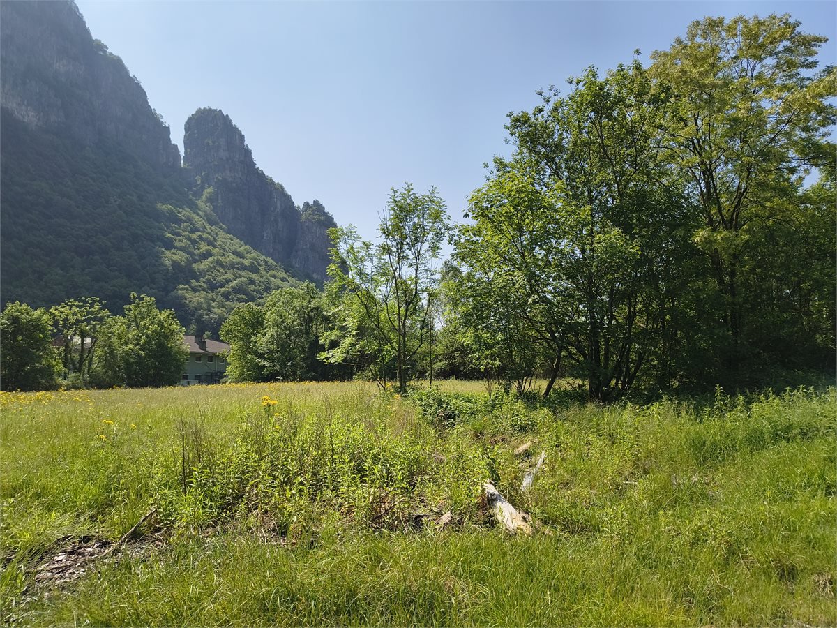 Terreno in vendita, Ballabio inferiore