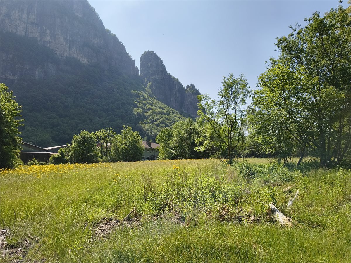 Terreno in vendita, Ballabio inferiore