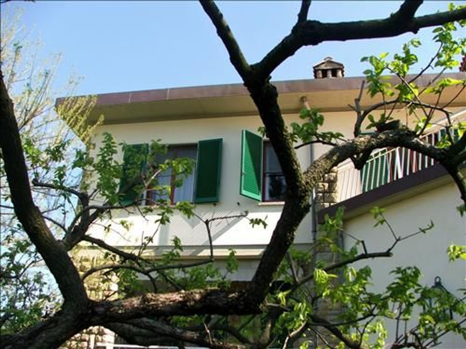 immagine annuncio 4 di 6