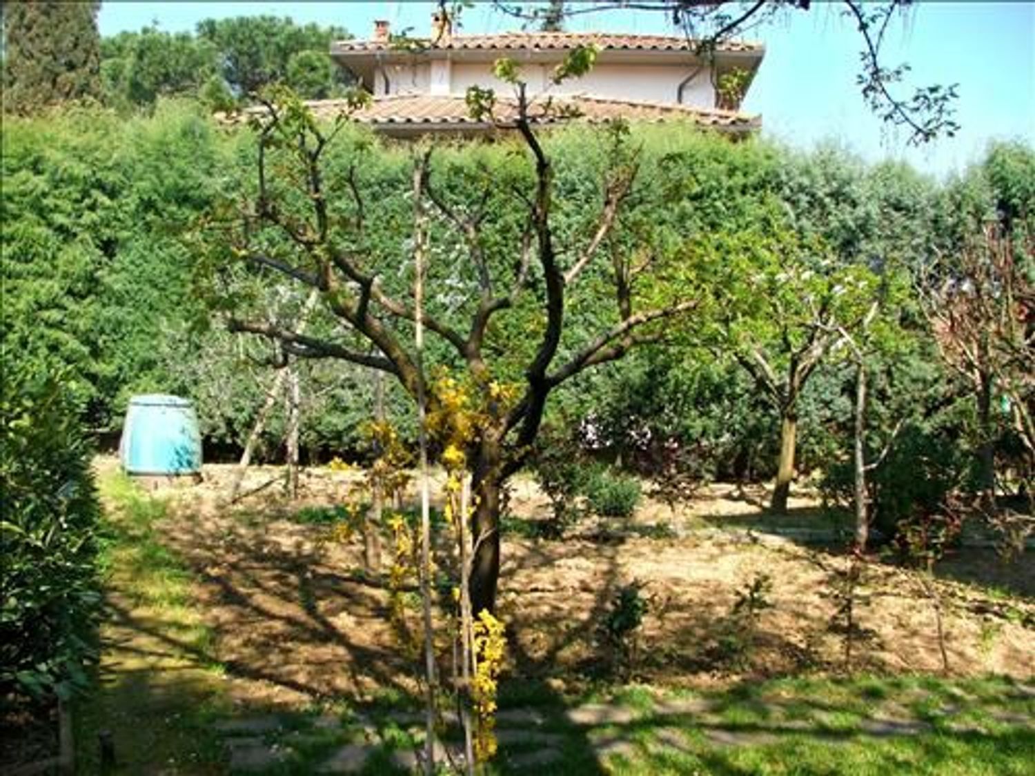 immagine annuncio 5 di 6