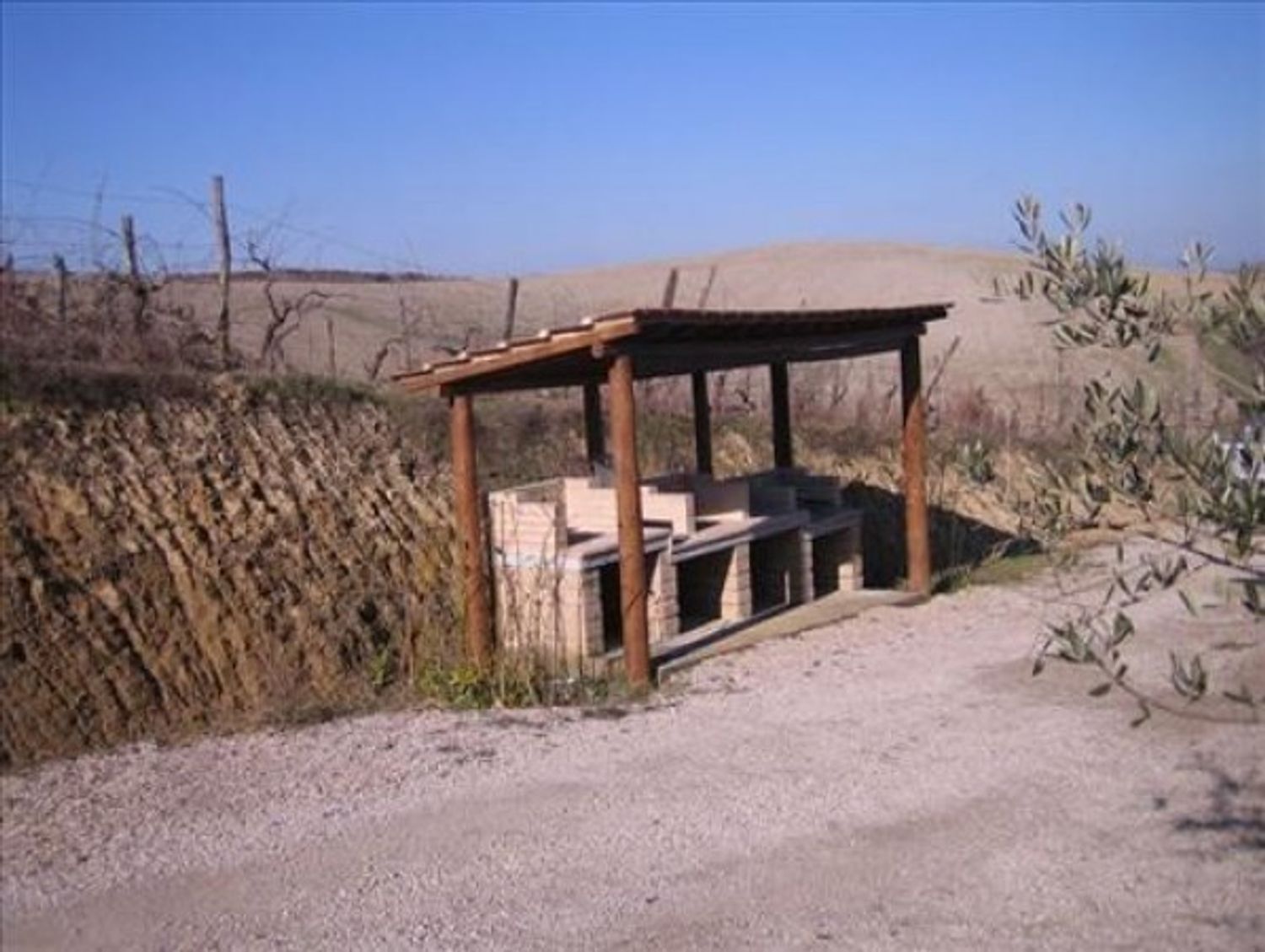 immagine annuncio 5 di 6