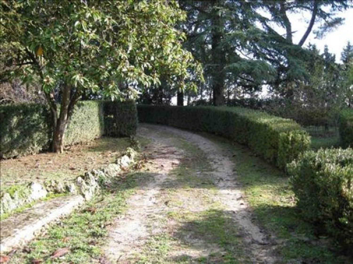 immagine annuncio 1 di 6