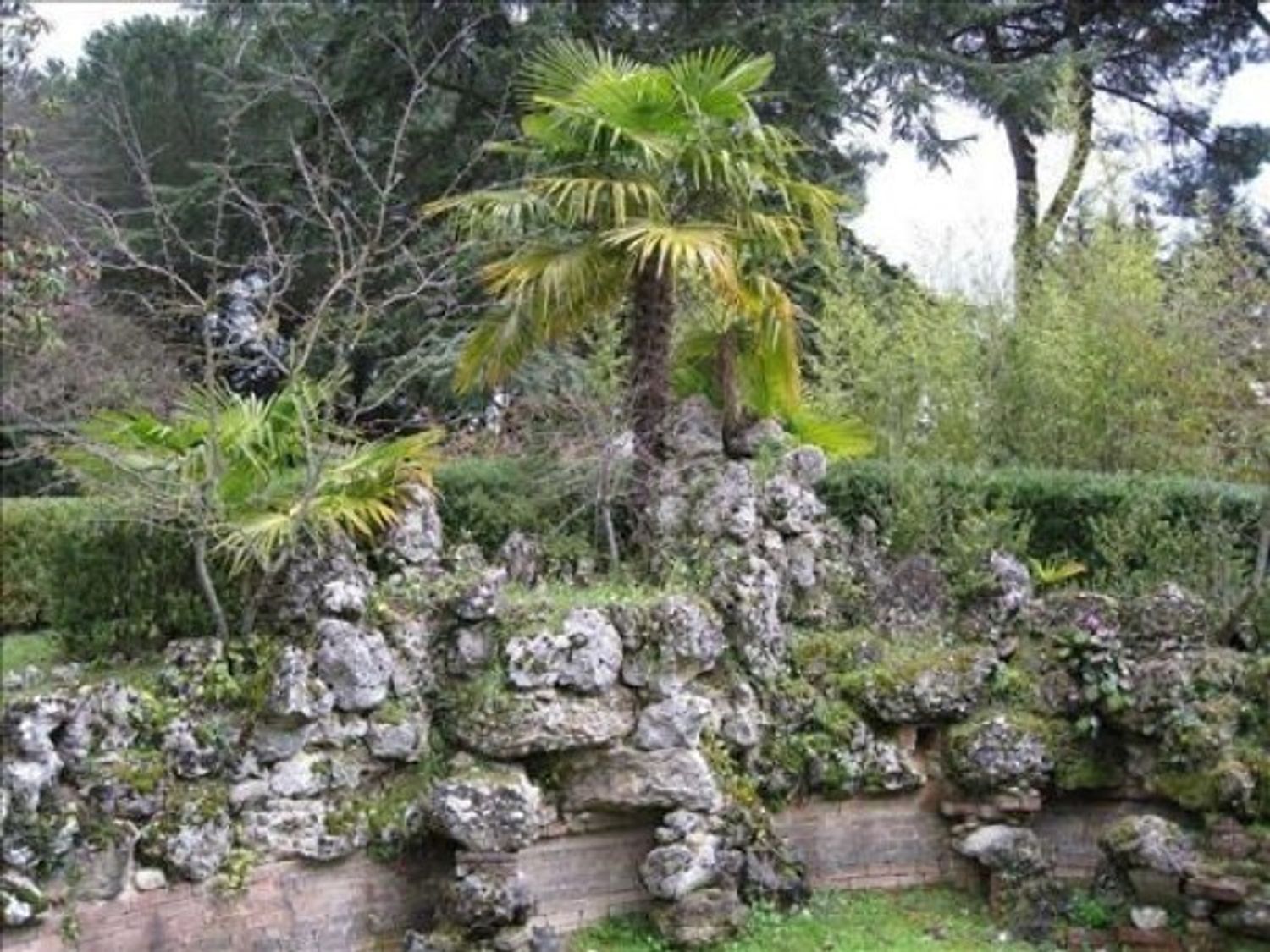 immagine annuncio 3 di 6
