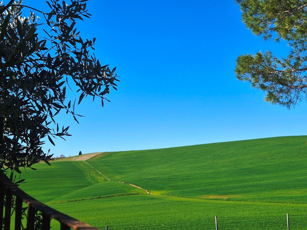 Casa indipendente con giardino a Monteroni d'Arbia