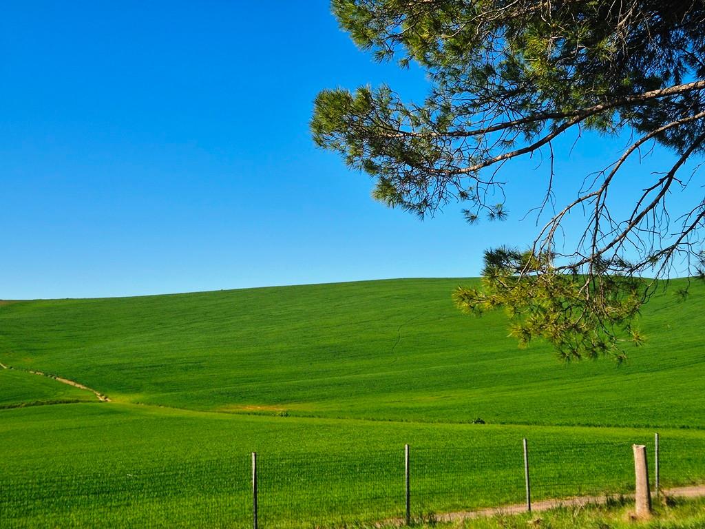 Casa indipendente con giardino a Monteroni d'Arbia