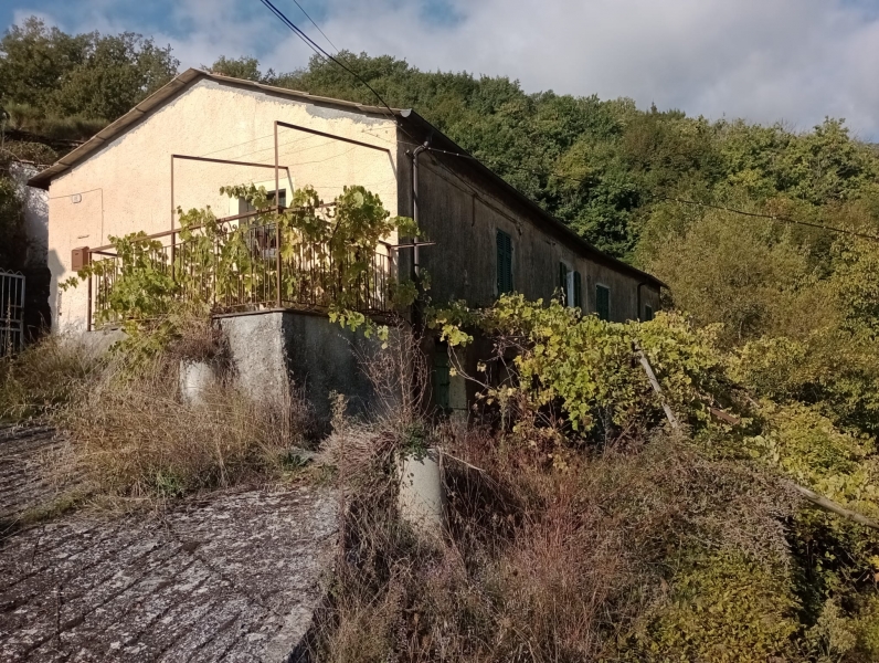 Casa indipendente con giardino a Borgomaro