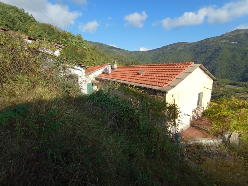 Casa indipendente con giardino a Borgomaro