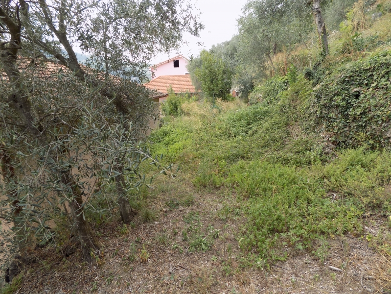 Casa indipendente con giardino a Chiusanico