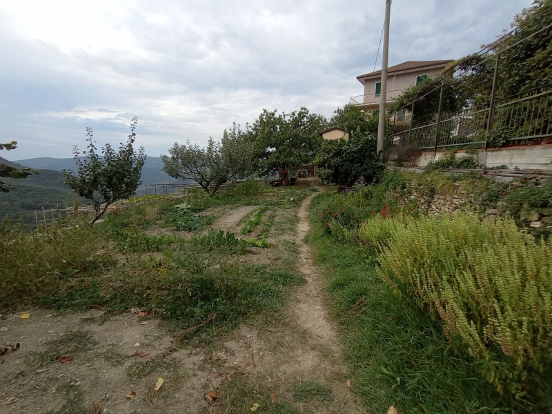 Casa indipendente con giardino a Cesio