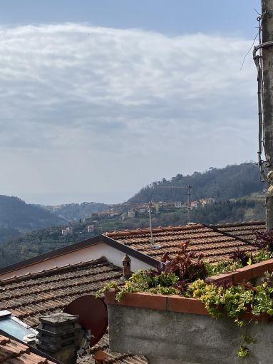 Villa da ristrutturare, Arcola trebiano