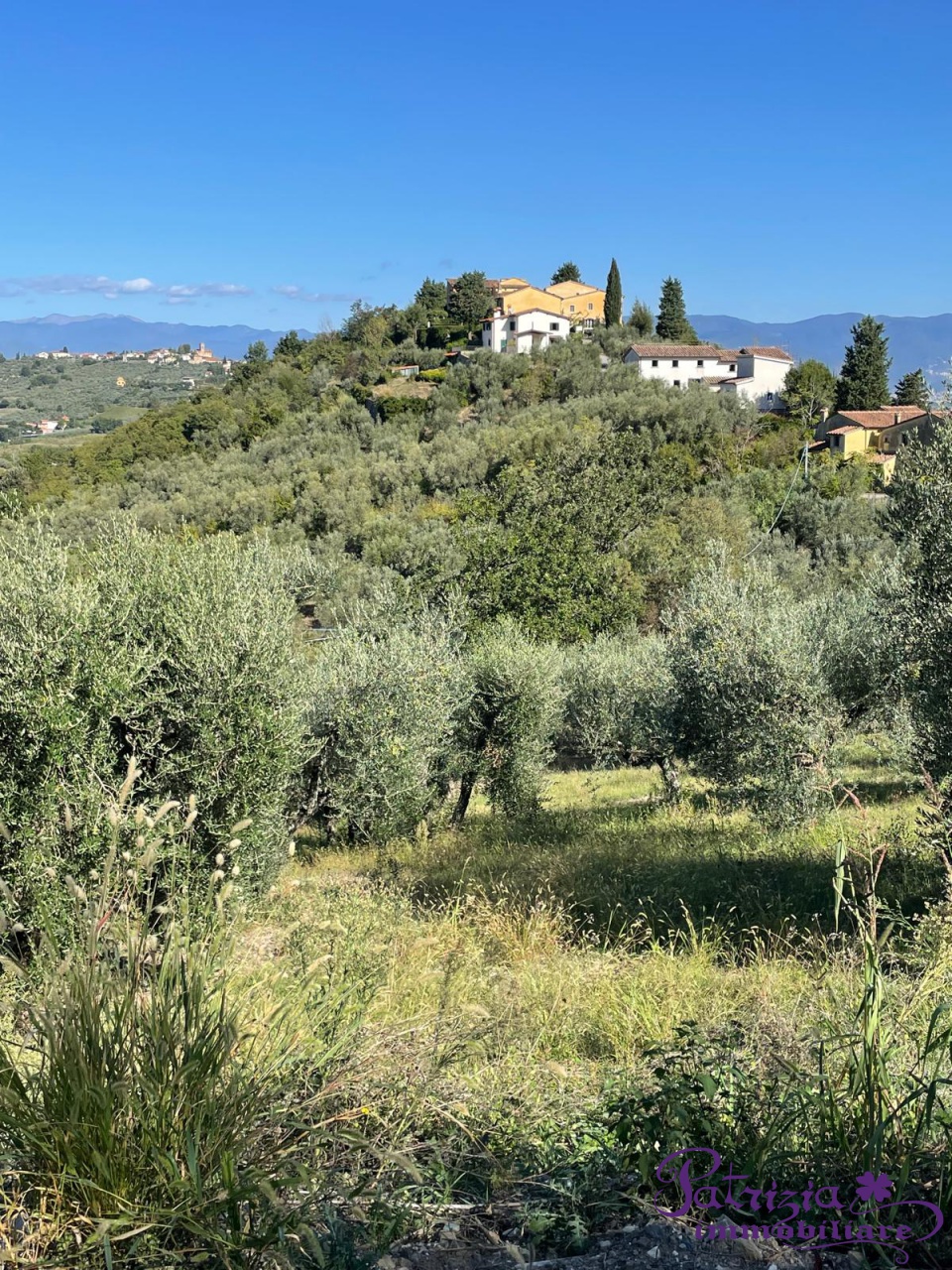 Villa con giardino a Carmignano
