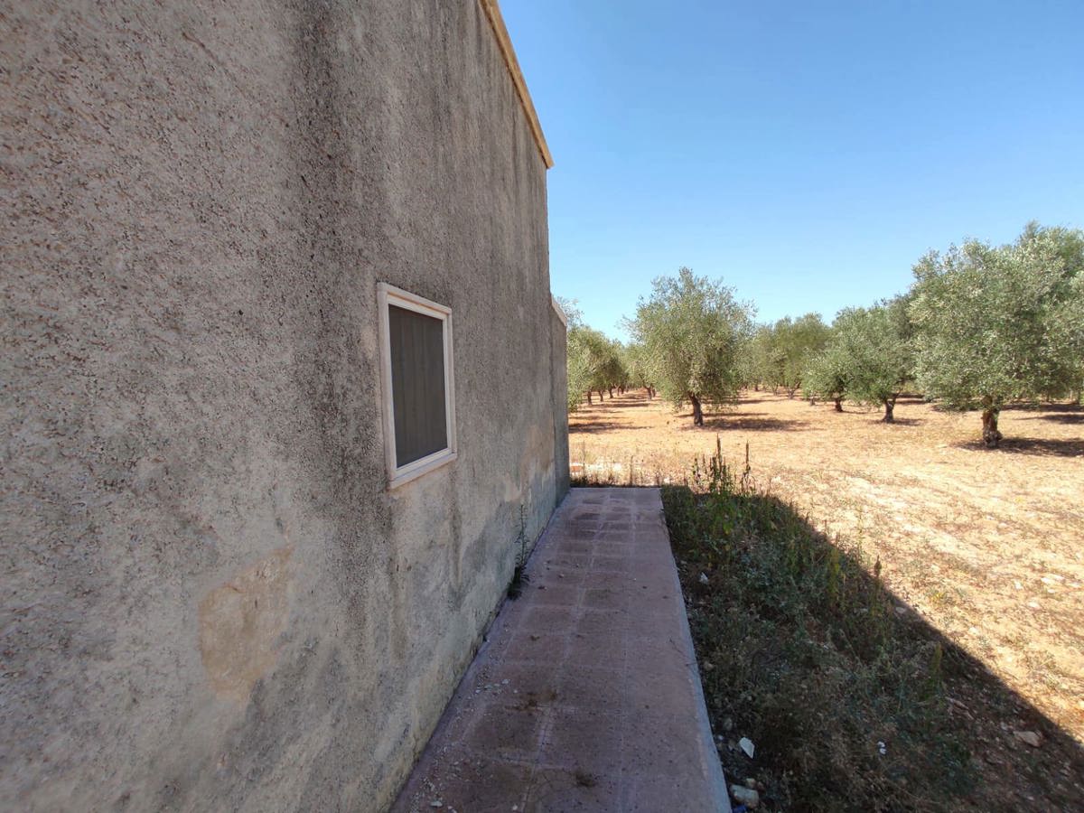 Terreno Agricolo in affitto a Grottaglie