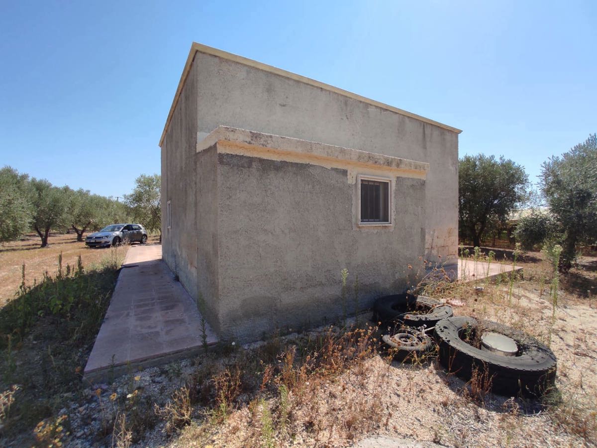 Terreno Agricolo in affitto a Grottaglie